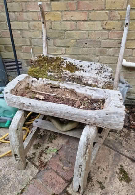 Photo of free Planter (RG24) #1
