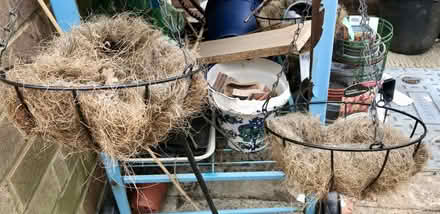 Photo of free Hanging baskets (North Tonbridge TN10) #2