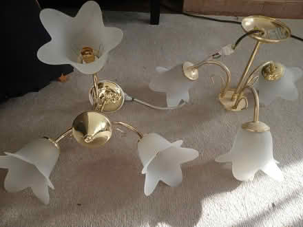 Photo of free 2 Ceiling light fittings (Near Horsham Station) #1
