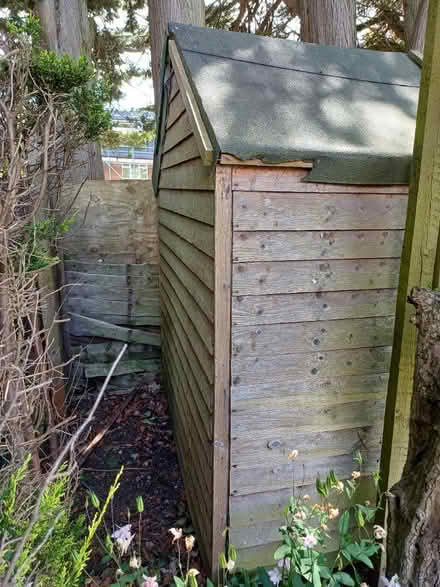 Photo of free Large garden shed (Harrogate, HG2) #2