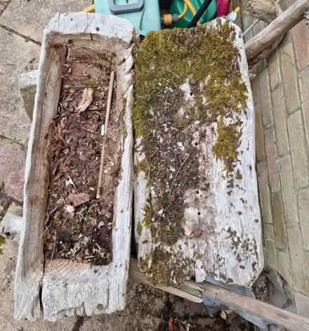 Photo of free Planter (RG24) #3