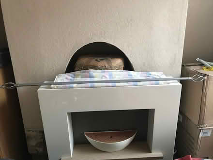 Photo of free Curtain pole with finials (Welling, DA16) #1