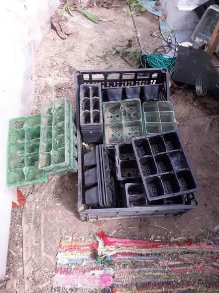 Photo of free Seedling Pots (CT3) #1