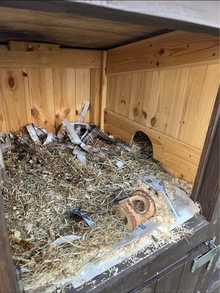 Photo of free Small animal enclosure (Horsforth) #2