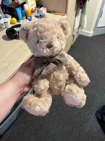 Photo of free Stuffed teddy bear (S3) #1