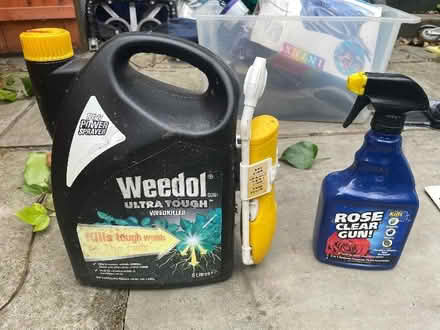 Photo of free Weed killer (Crouch End N8) #1