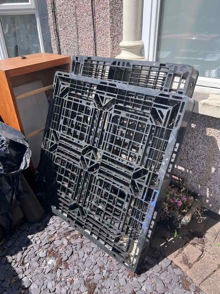 Photo of free 2x plastic pallets (Grays RM20) #1