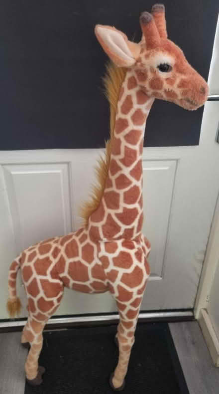 Photo of free 3 Foot giraffe (Matchborough East B98) #1