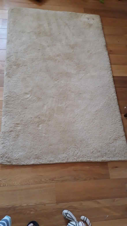Photo of free Pale coloured wool rug (Boston Manor Ealing W13) #1
