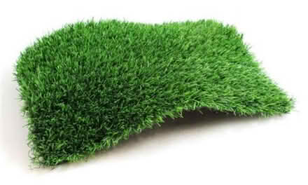 Photo of Artificial grass offcut (Coventry CV6) #1