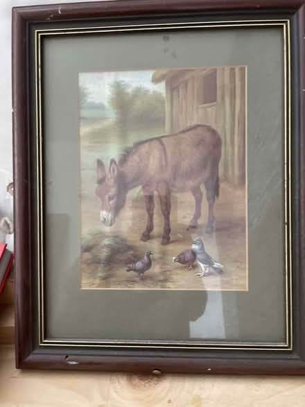 Photo of free Picture of Donkey (South Ham RG22) #2