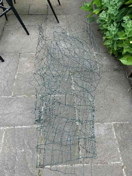Photo of free Wire (Winkfield Row RG42) #2