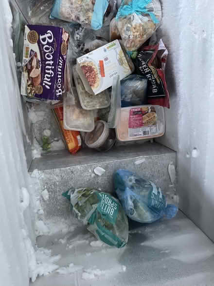 Photo of free Freezer food. (South Ham RG22) #2