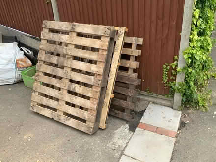 Photo of free Five wooden Pallettes (aldershot GU12) #1