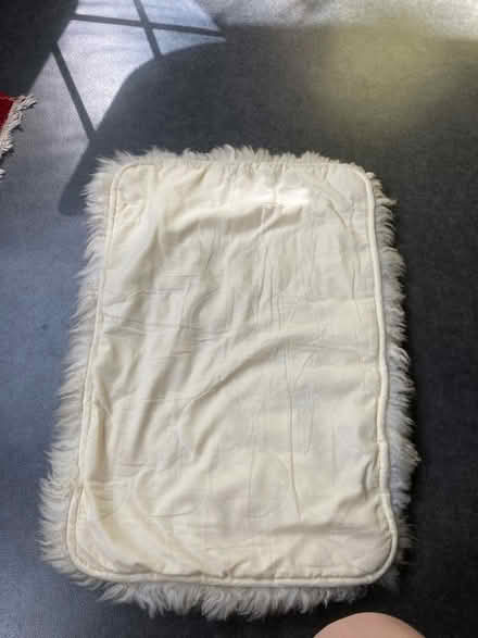 Photo of free Sheepskin (Oldfield Park) #2