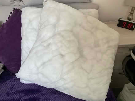 Photo of free Large cushion innards (Little Clacton CO16) #1