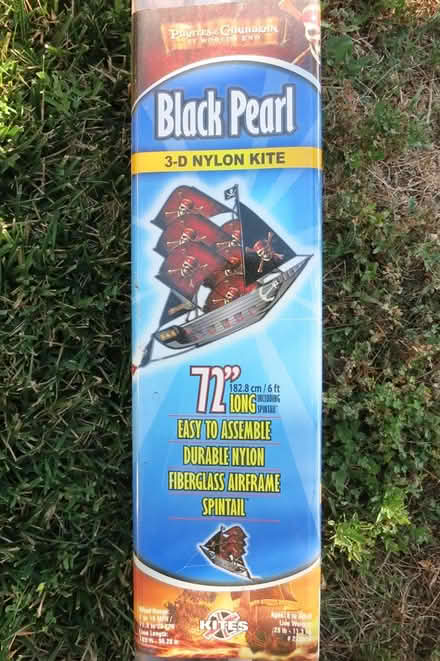 Photo of free black pearl kite (West San Jose) #2
