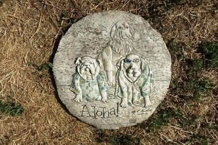 Photo of free welcome cat&aloha dogs stone plauqu (West San Jose) #2