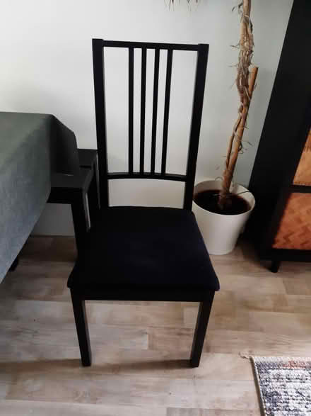 Photo of free Dining Chairs (N1) #1