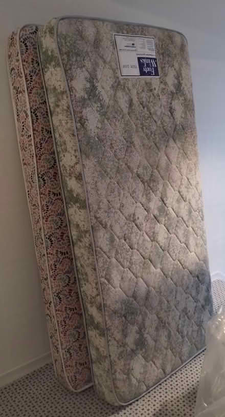 Photo of free Single mattress (Hawthorn) #1