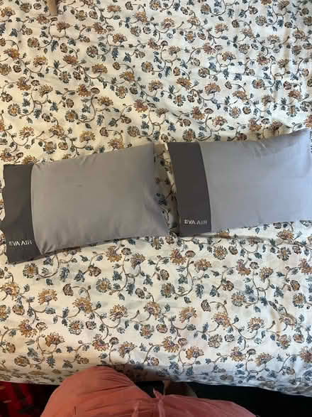Photo of free Eva air pillows (S3) #1