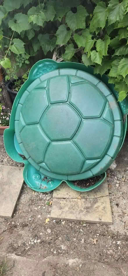 Photo of free Very sad turtle 🐢 (Addiscombe) #1
