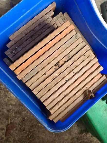 Photo of free Quarry Tiles (EX13) #2