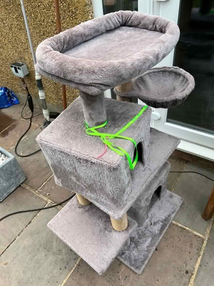 Photo of free Cat tree - three tiers (Chessington - KT9) #2