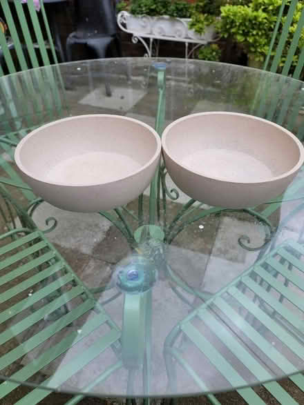 Photo of free Two non slip dog bowls (GL1) #1