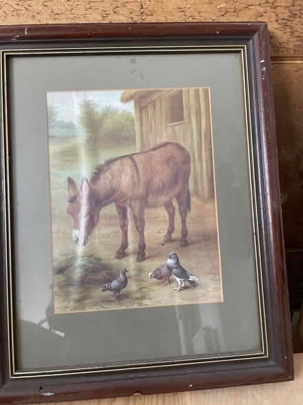 Photo of free Picture of Donkey (South Ham RG22) #1