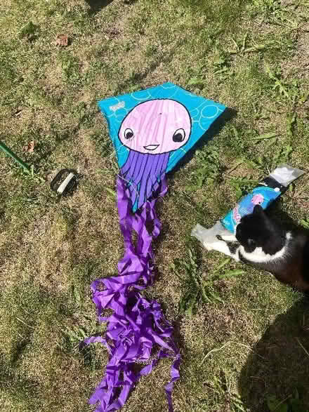 Photo of free Children’s kites (Crouch End N8) #1