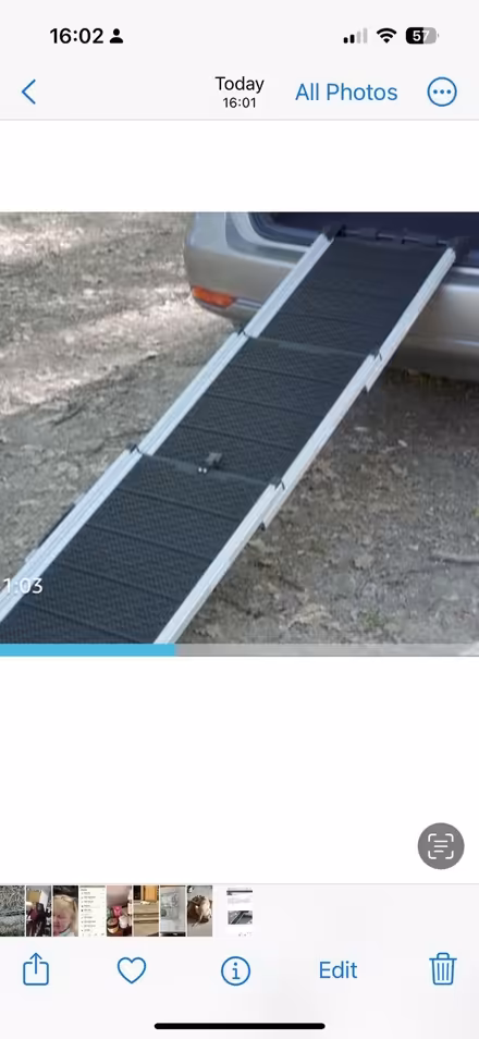 Photo of Dog ramp (Cromer Hyde AL8) #1