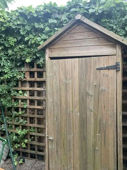 Photo of free Shed (Wood Street E17) #1