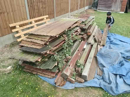Photo of free Timber for burning (MK42) #2