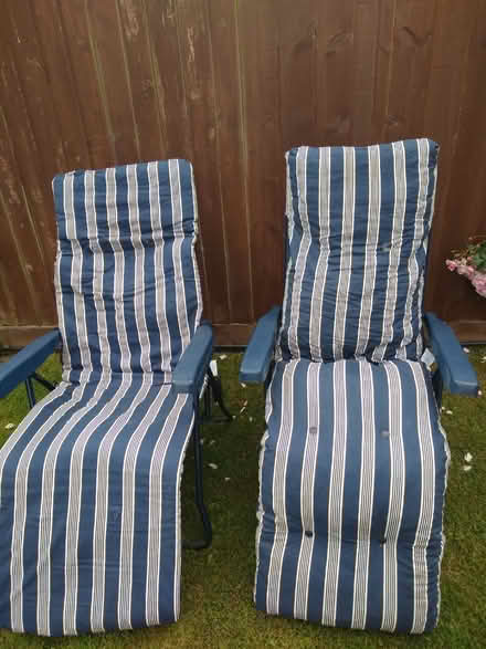 Photo of free Garden Chairs (Presteigne LD8) #1