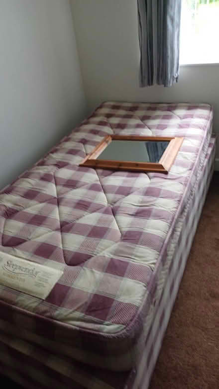 Photo of free Single bed and base (Seamer TS9) #1