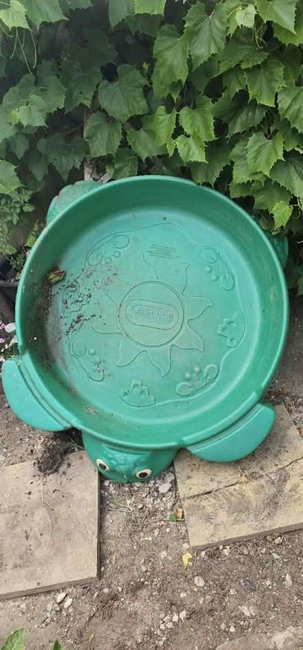 Photo of free Very sad turtle 🐢 (Addiscombe) #2