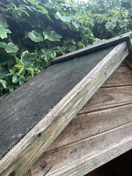 Photo of free Shed (Wood Street E17) #3