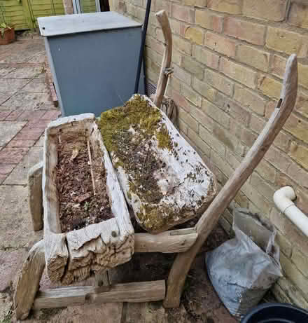 Photo of free Planter (RG24) #2