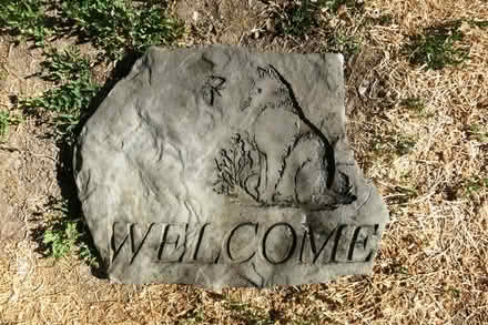 Photo of free welcome cat&aloha dogs stone plauqu (West San Jose) #1