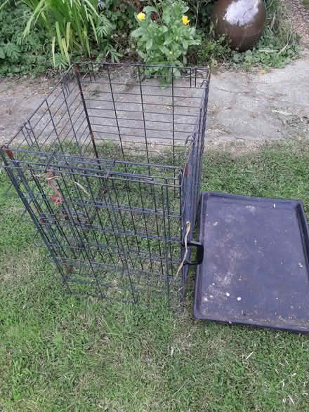 Photo of free Dog Crate (CT3) #2