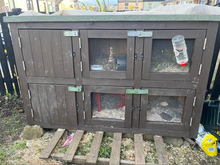 Photo of free Small animal enclosure (Horsforth) #1