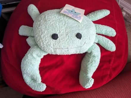 Photo of free Bath Pillow (Welling DA16) #1