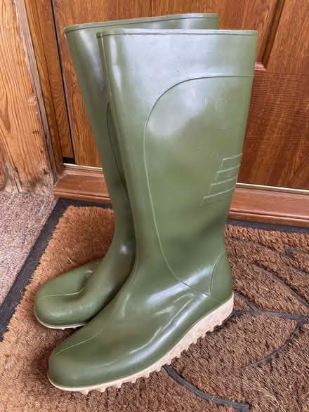 Photo of free Ladies Wellies (Kingsway) #1