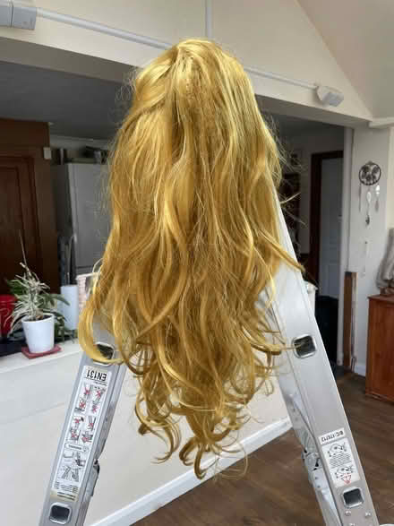 Photo of free Wigs (South Ham RG22) #1