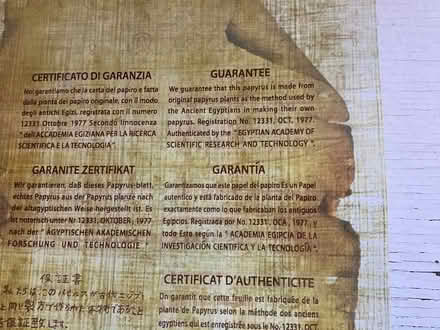 Photo of free Sheet of Papyrus paper from Egypt (Above downtown) #3