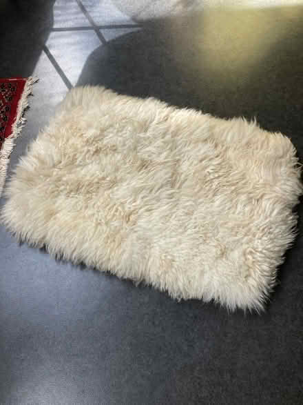 Photo of free Sheepskin (Oldfield Park) #1