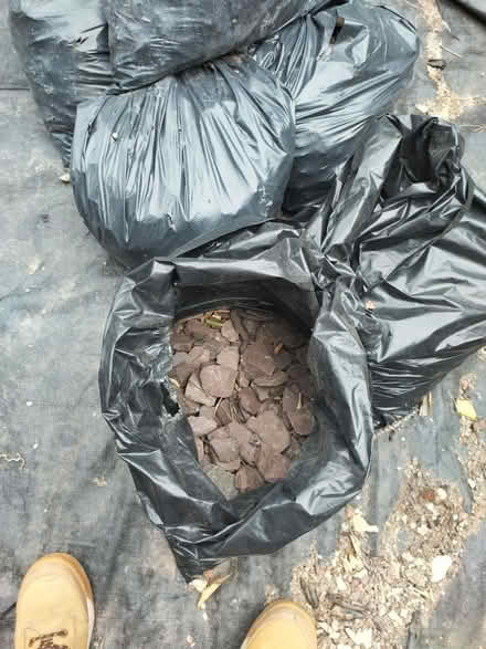 Photo of free Slate chippings (Rottingdean BN2) #2