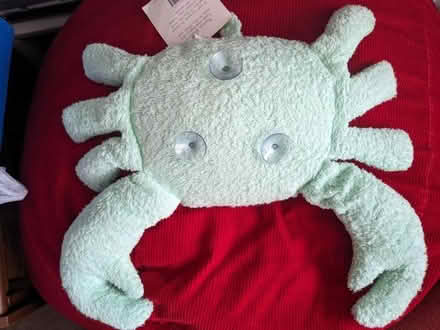 Photo of free Bath Pillow (Welling DA16) #2