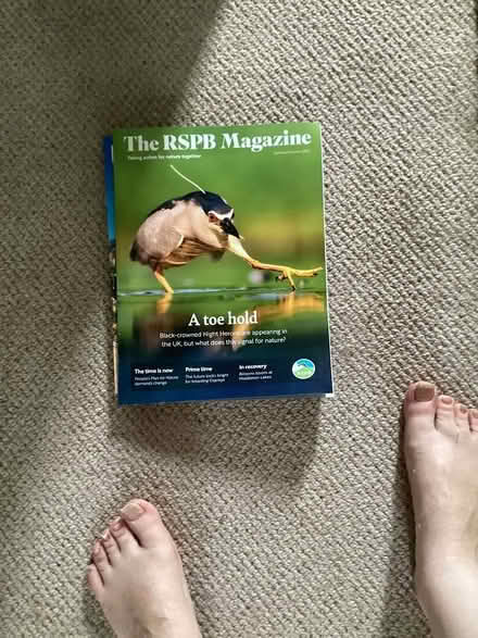 Photo of free Back Issues of Magazines (Tilbury RM18) #2